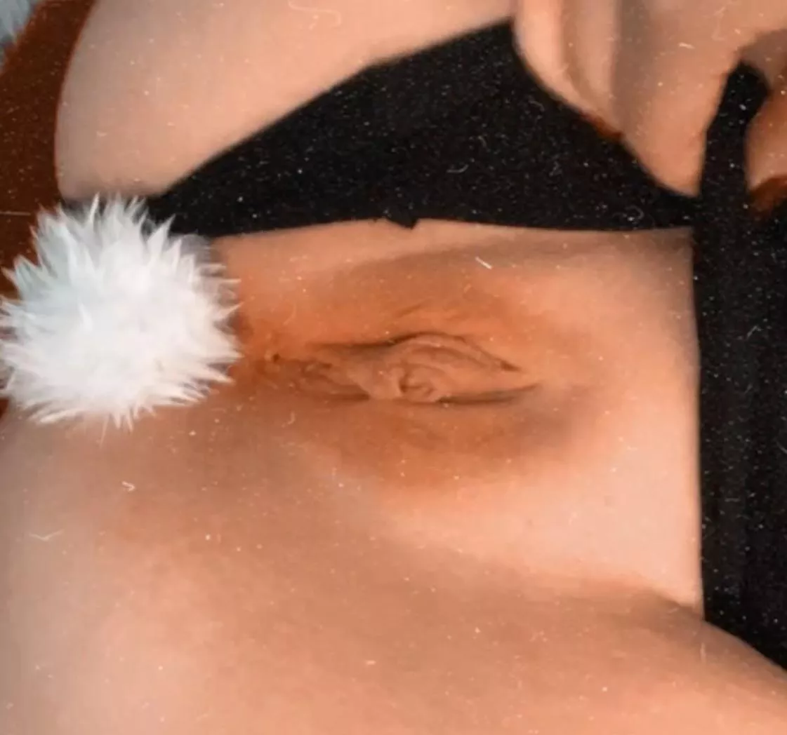 Do you like bunnies hehe