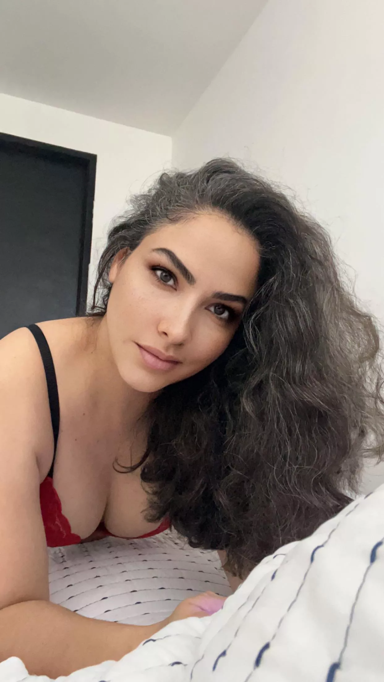 Do you like what you see F40