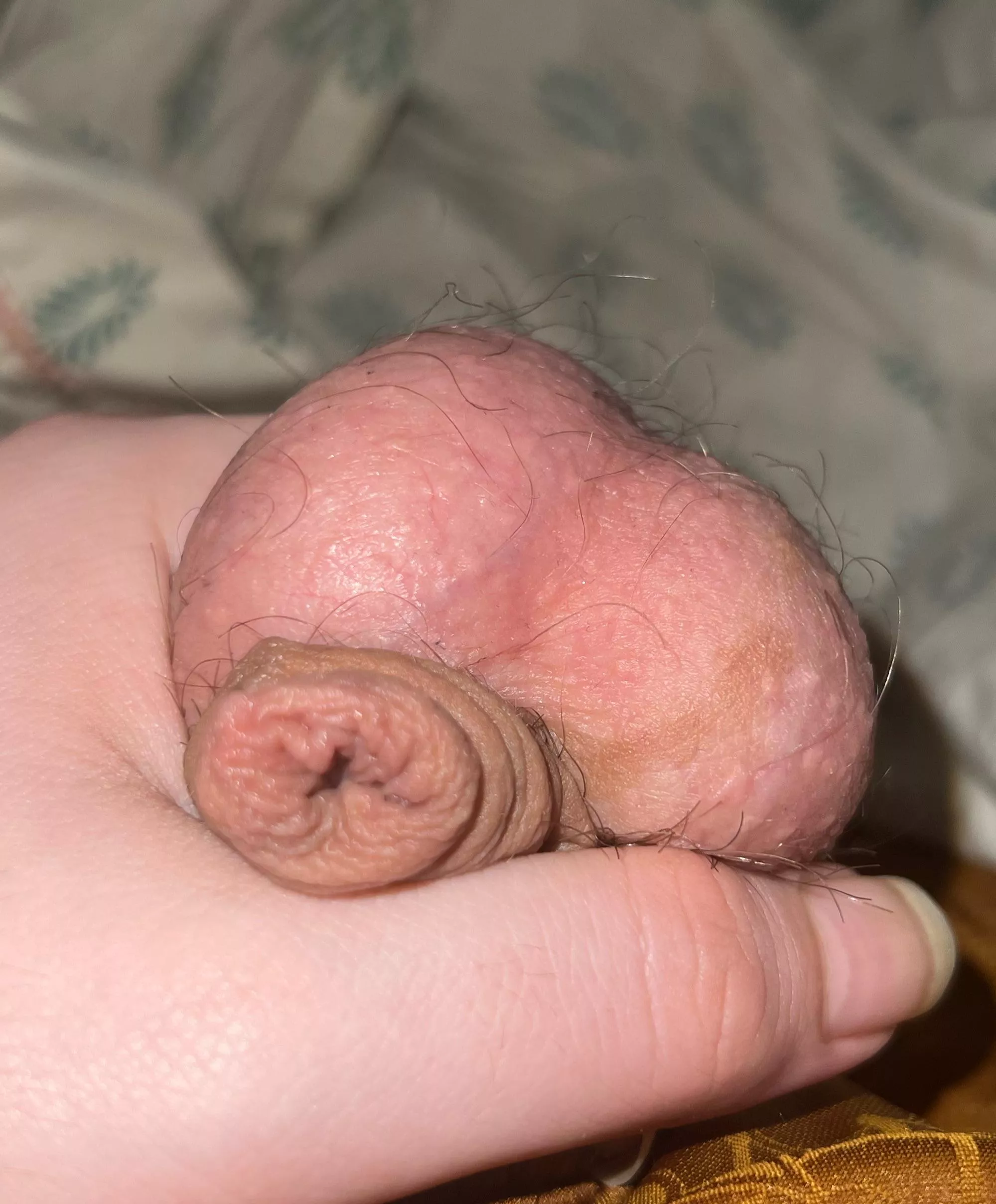 help me get hard and cum! chub4chub (24) ssbhm +++