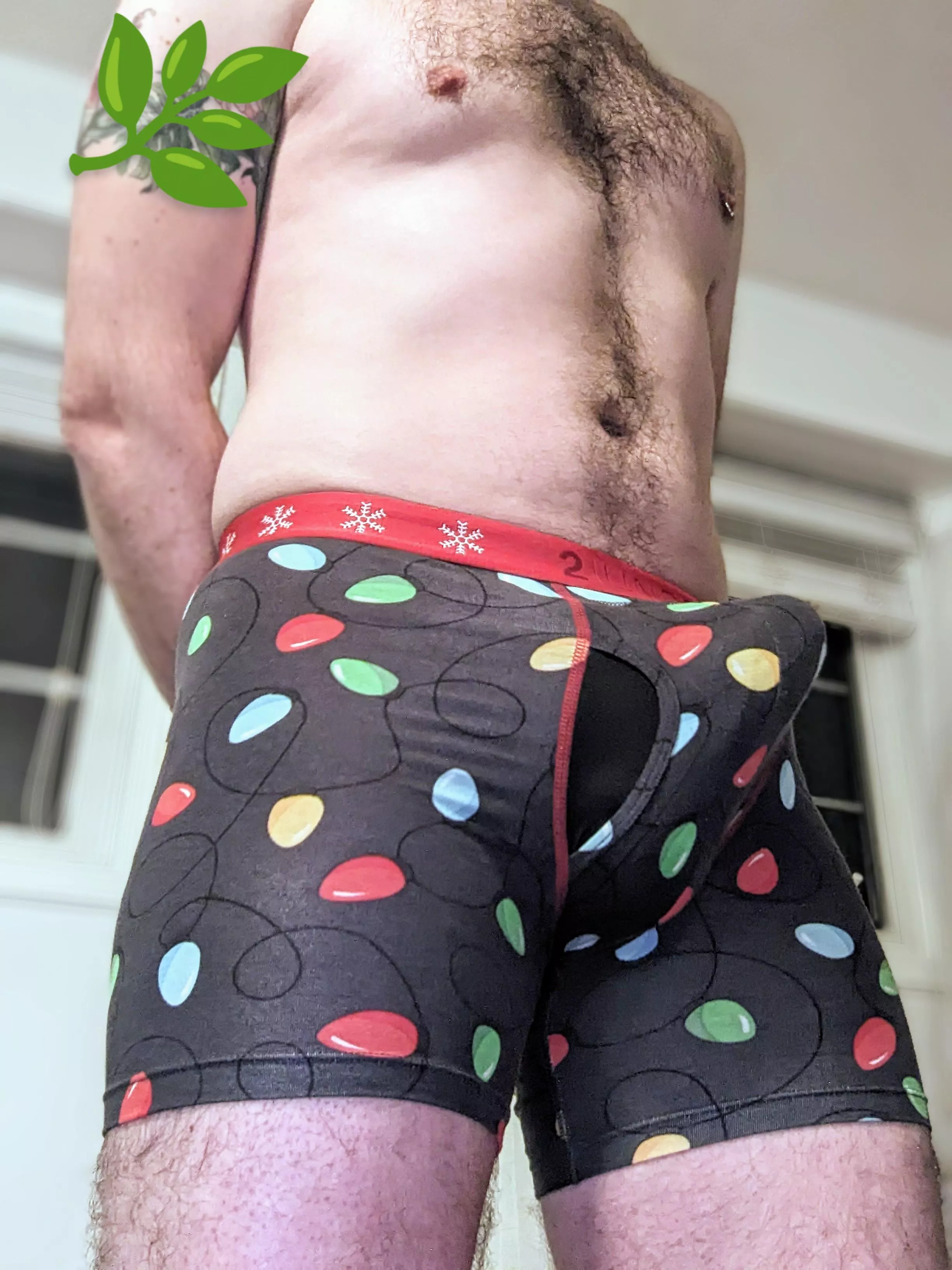 Help me take down the Christmas lights?