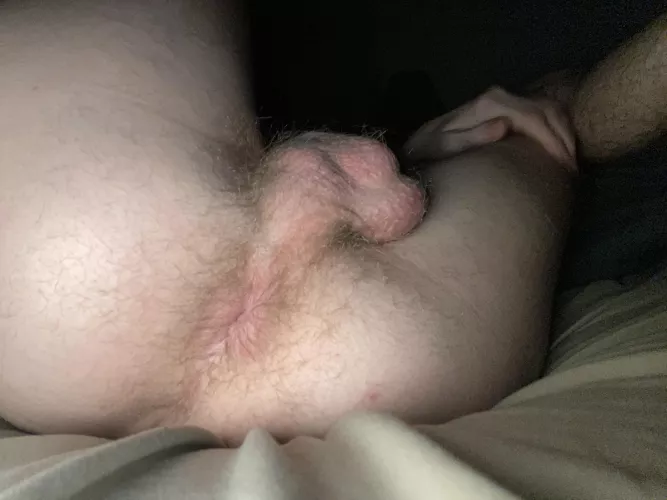 If you saw my ass out would you eat it?