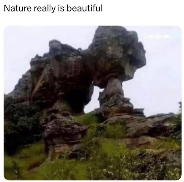 Is this mother nature giving herself head