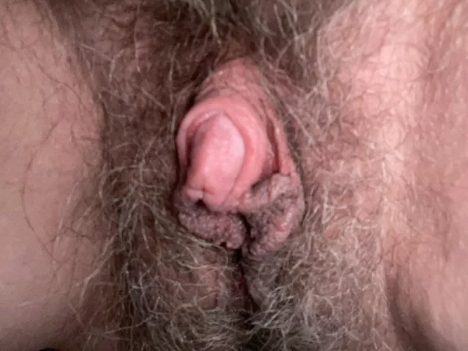 It may just be me, but I think my fat pink clit is totally suckable!