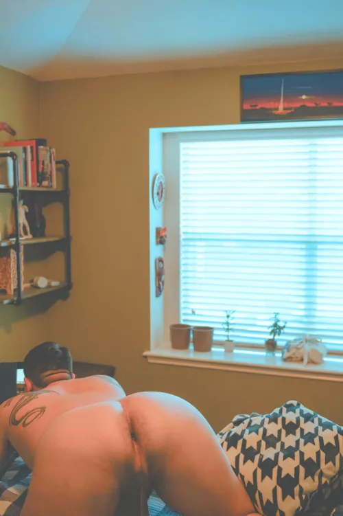 Just a quick shot on the bed