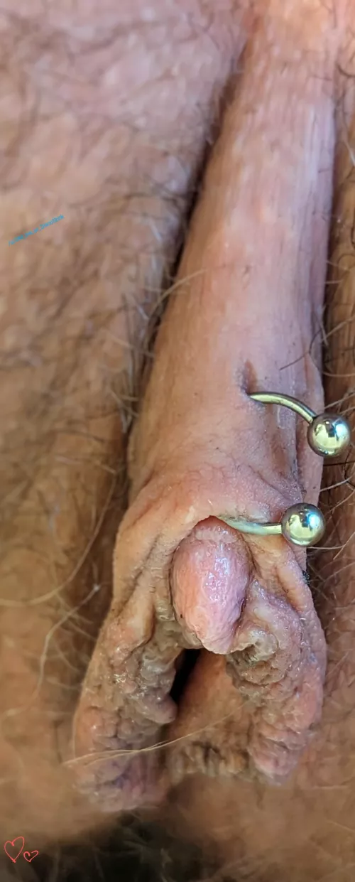 Just Applied a Fresh Coat...