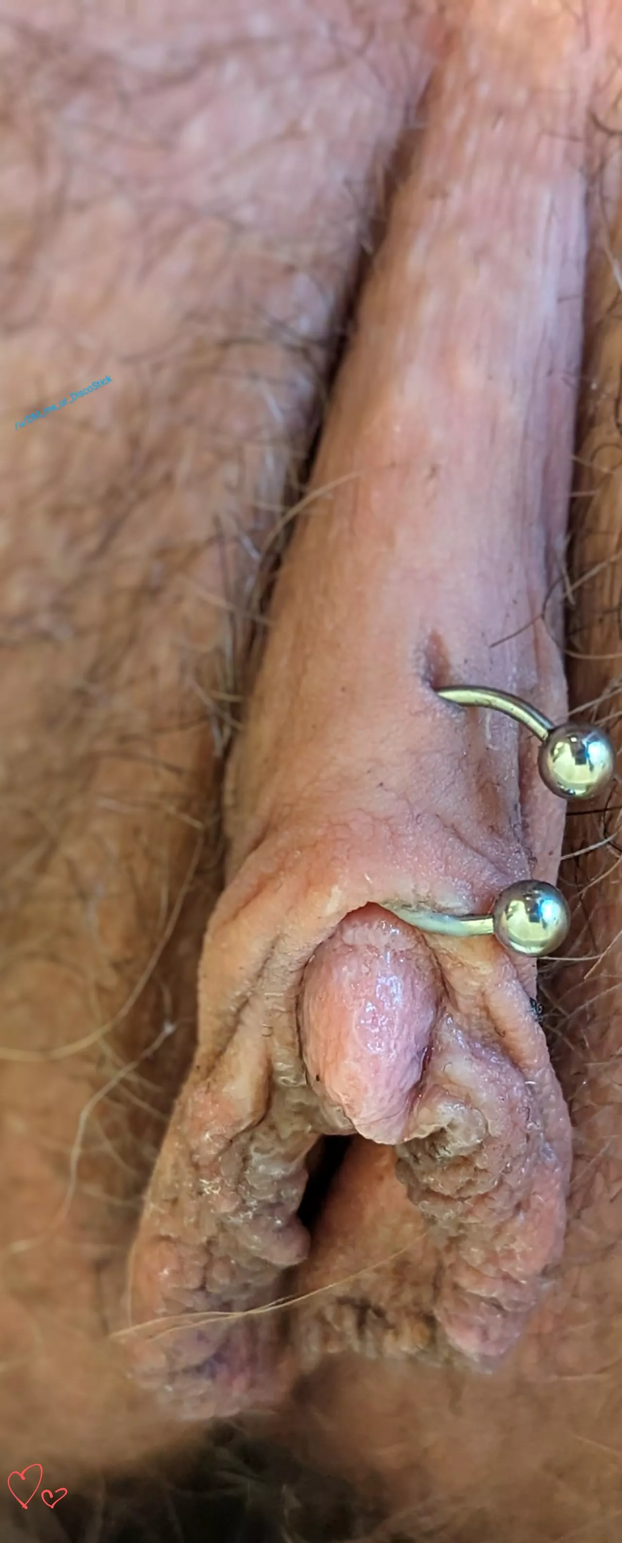 Just Applied a Fresh Coat...