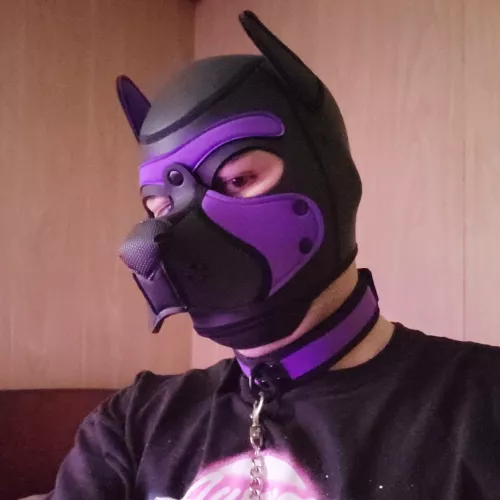 Just got a collar and it is so nice! 💜🖤