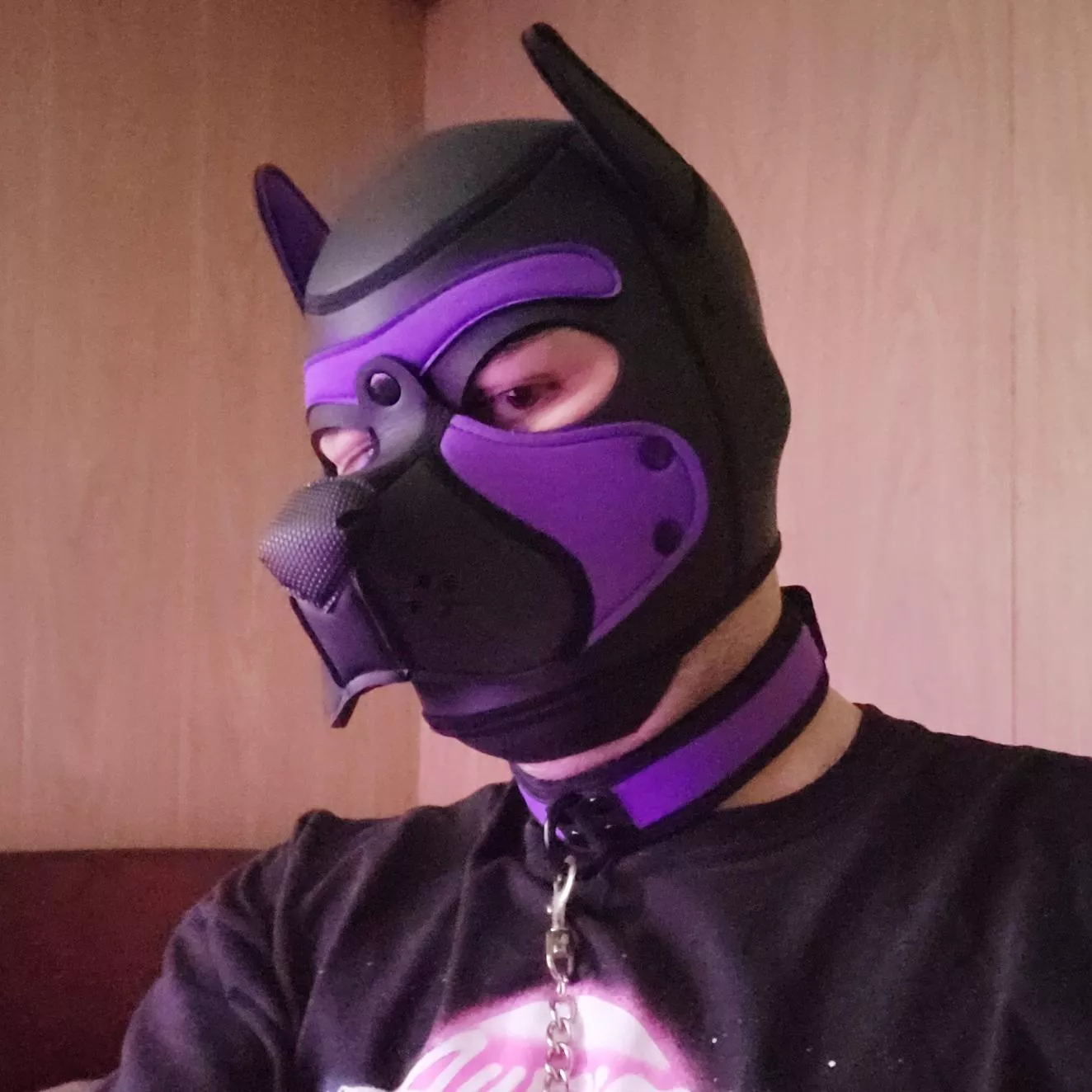 Just got a collar and it is so nice! 💜🖤