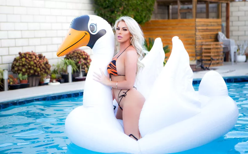 Let's have real fun in the pool.