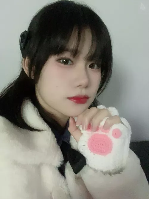 Looking for my cat lovers