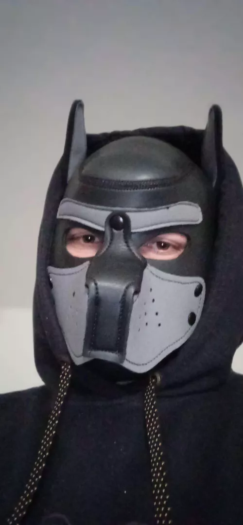 [M] New here, arf arf