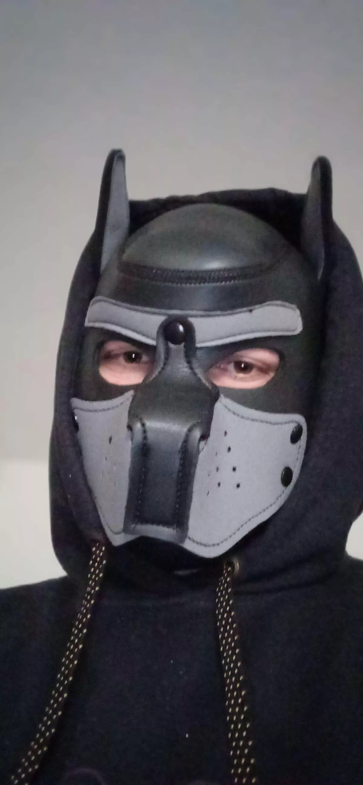 [M] New here, arf arf