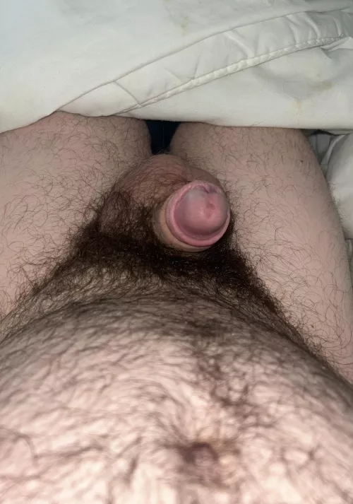 Morning erection 🙄