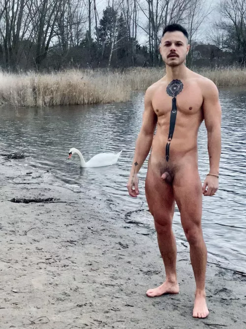 Noone else joined but the swan :)