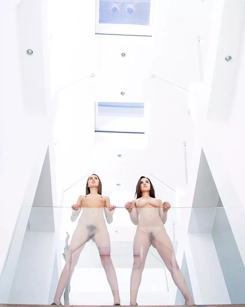 Riley Reid & Dillion Harper