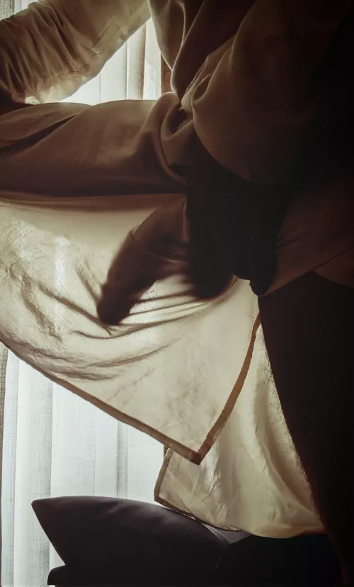 Silhouette of horse dick