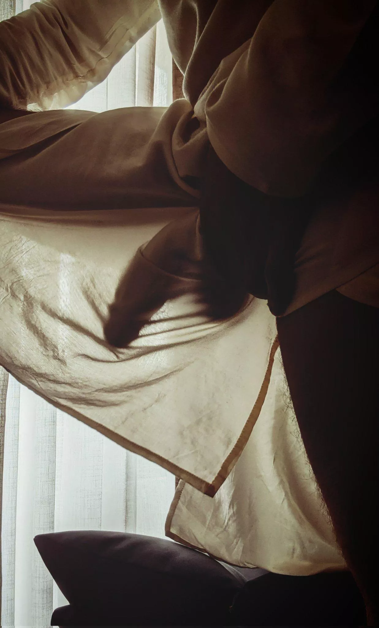 Silhouette of horse dick