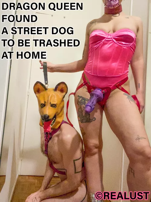 This dog thought of having found a refuge, not a dungeon