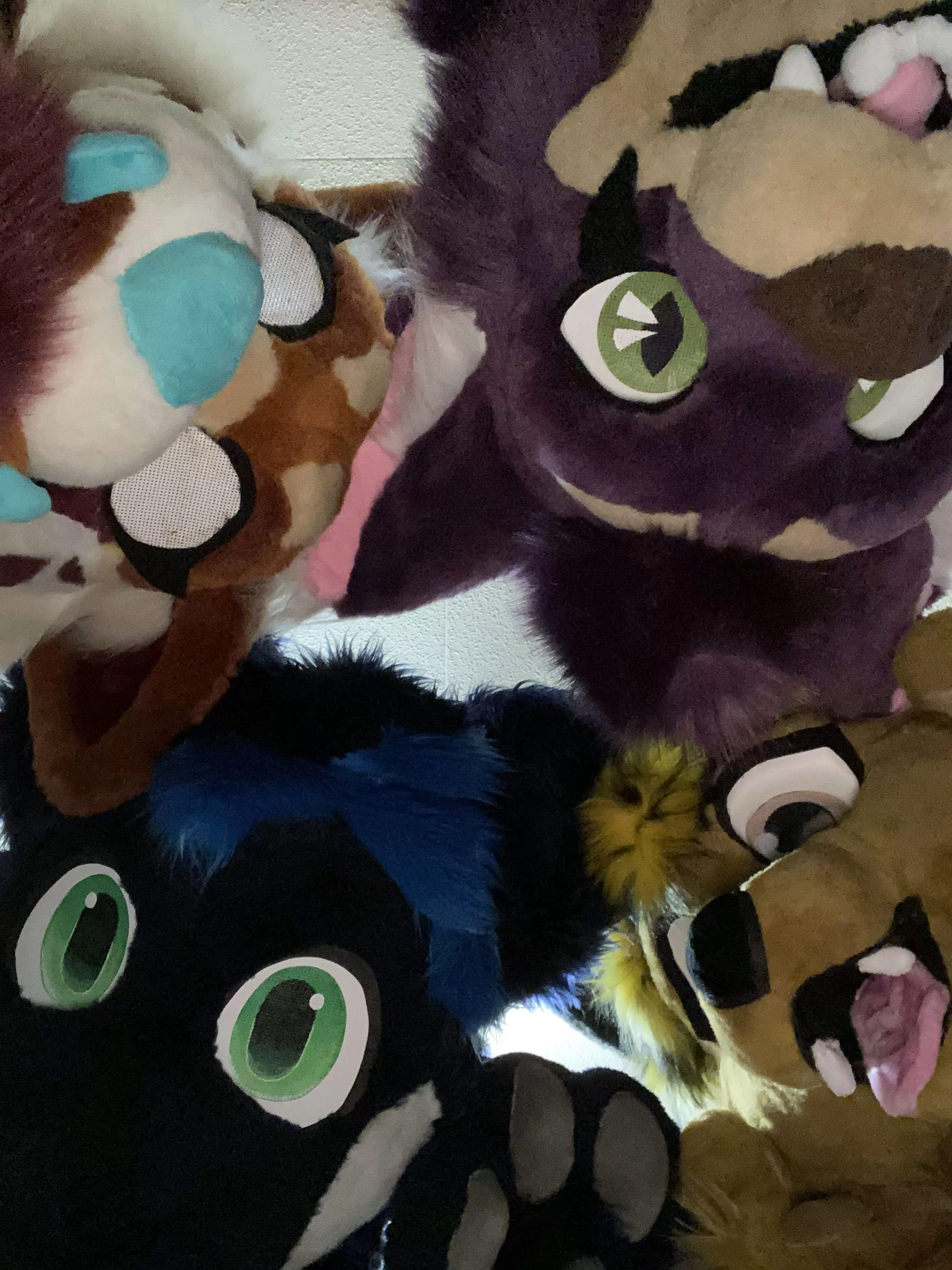 Took part in my first furmeet today, and with locals nonetheless!