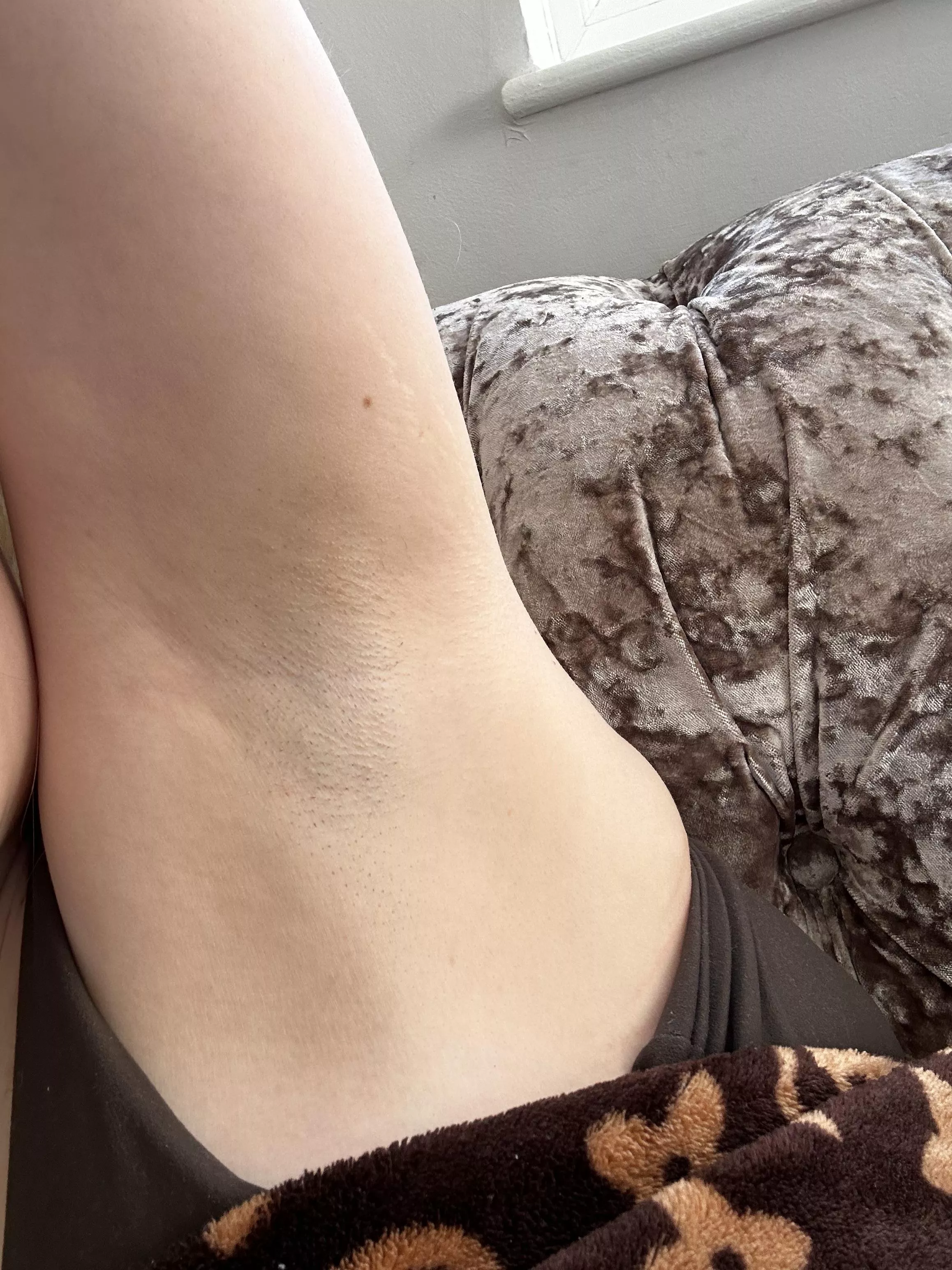 What do you think they smell like?