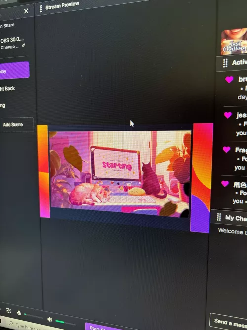 Why is twitch adding this default border on the sides of my OBS studio scenes? How do I fix this?