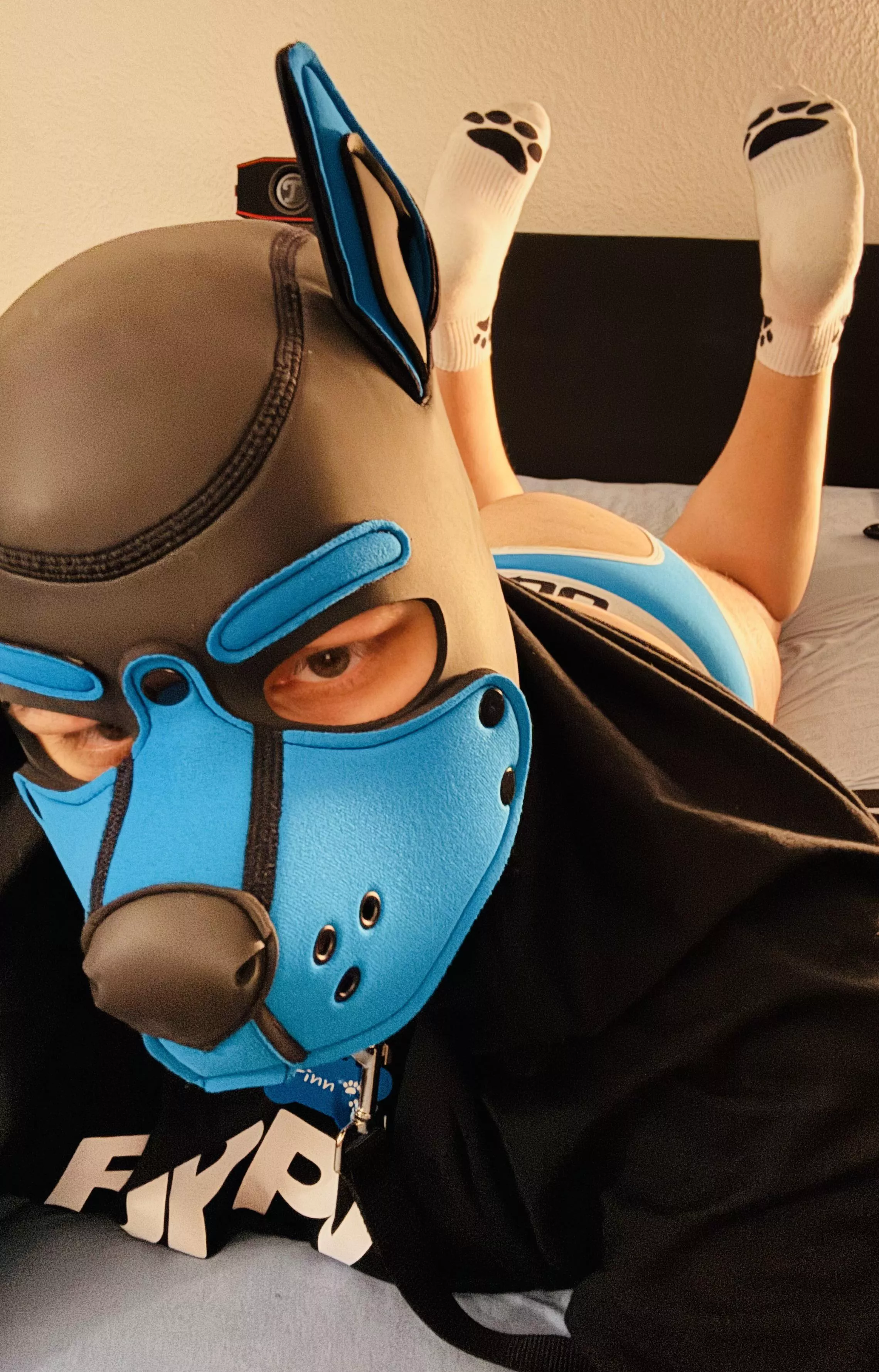 Woof! 🐶 Today Finn is a bit naughty 🐾🐕