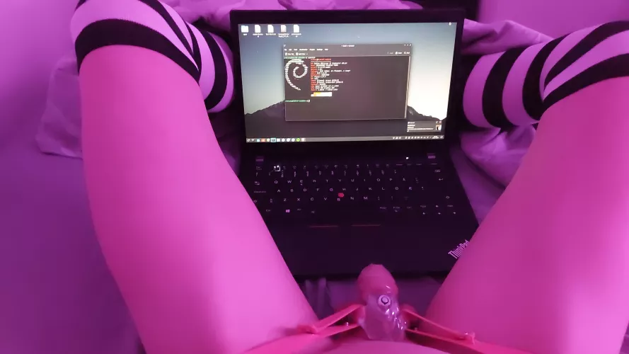 Your average Linux user