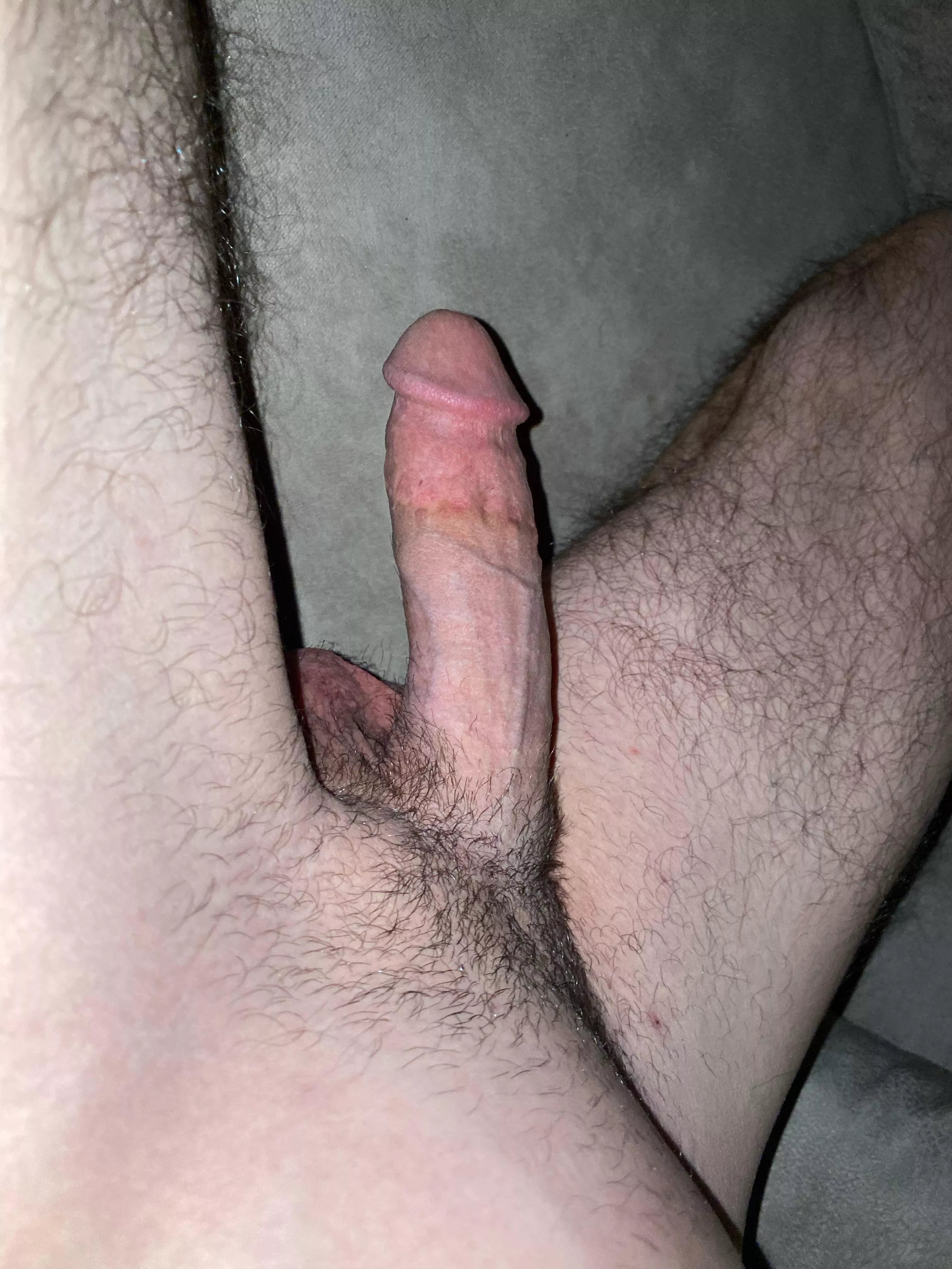 (24) cut semi hard