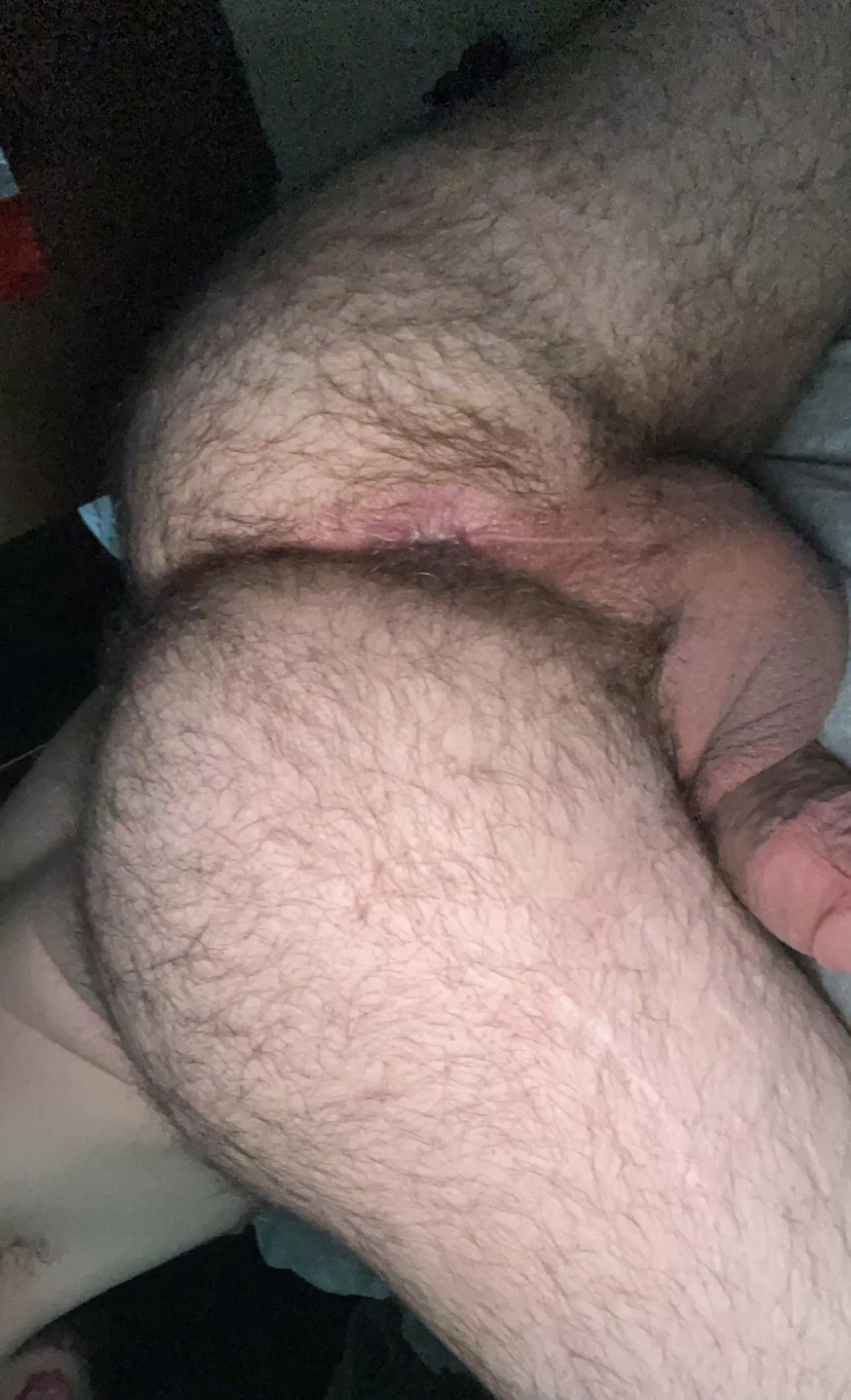 24 in shape Lebanese bottom with a big furry ass. Need to finger myself and cum soon. snapp me: AmirGrp