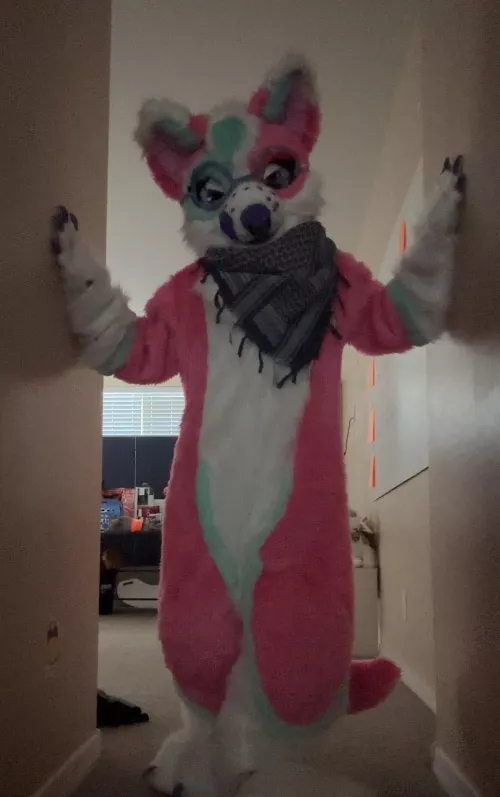 A doggo blocks the way! What do you do? ✨