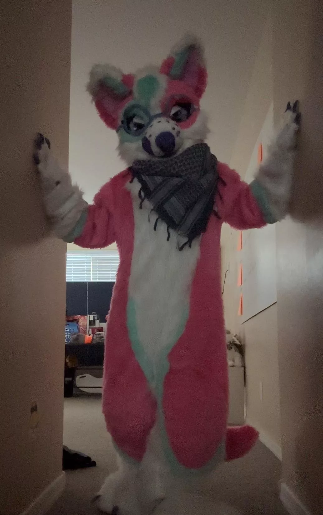 A doggo blocks the way! What do you do? ✨