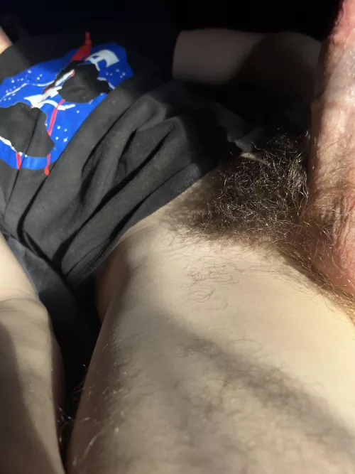 Curly thick bush 🌳