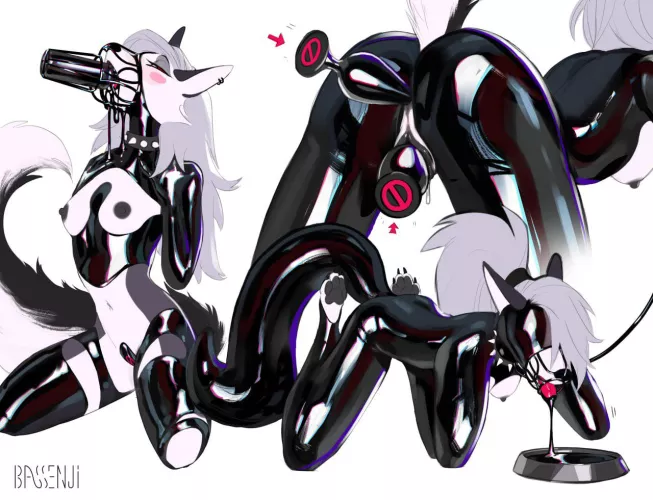 (F) Loona in Latex (bassenji)