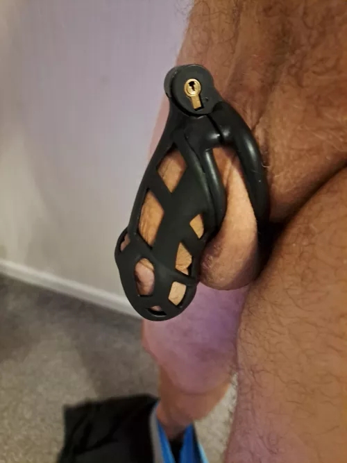 First time ever caged!