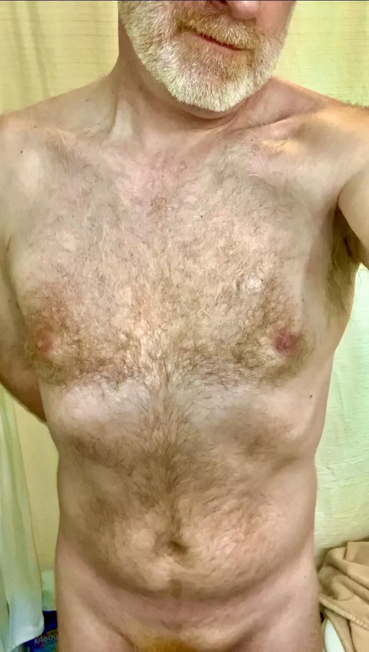 Ginger Daddies are the best…right?
