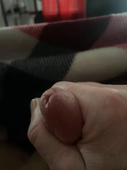 Glistening with precum