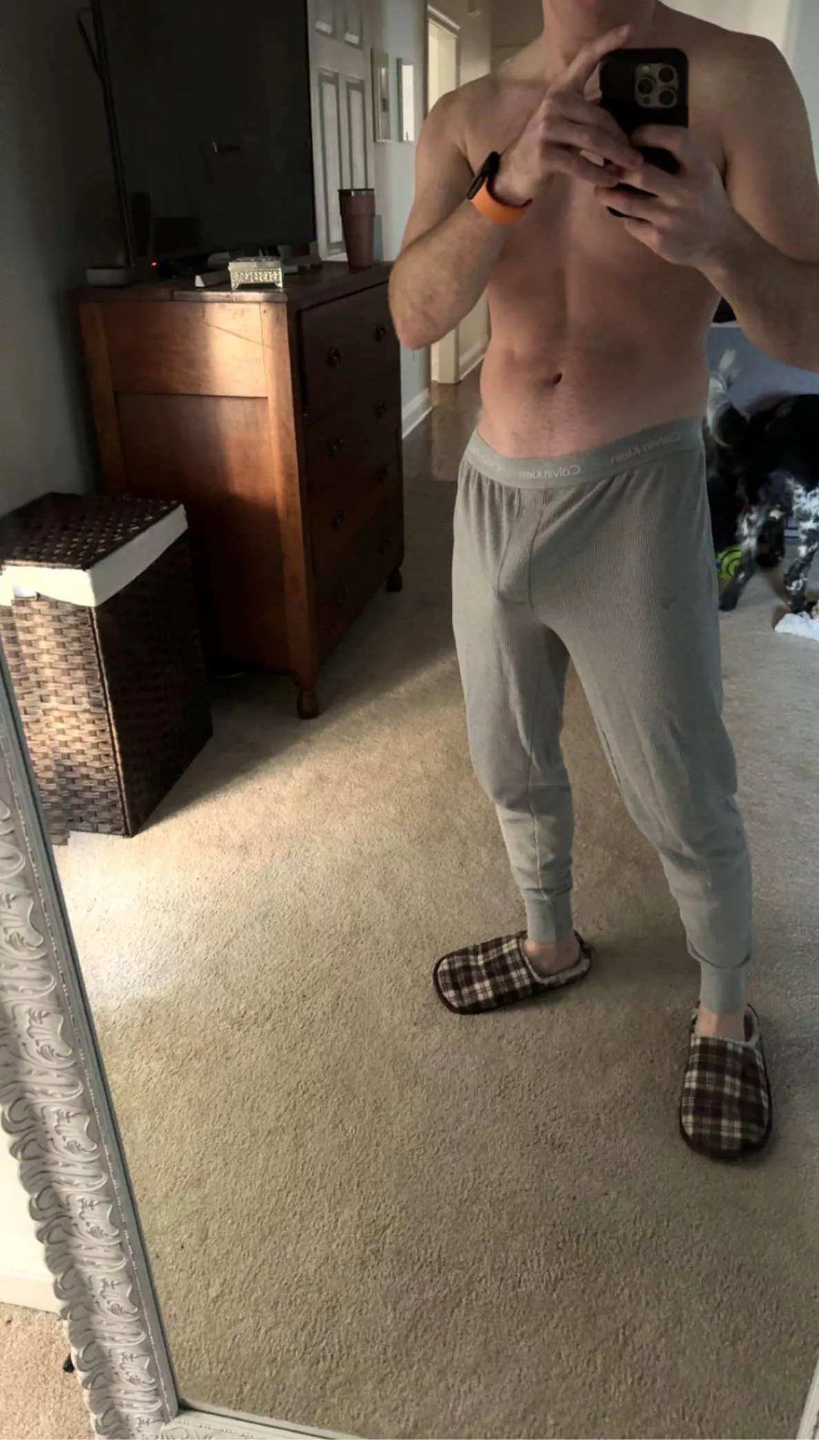Gray Calvin’s >