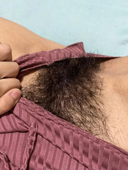 Hairy pussy to eat in my pajamas