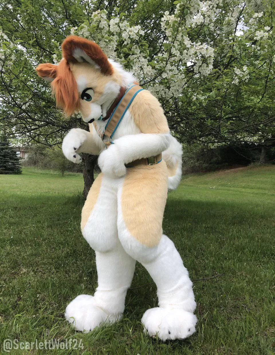 Happy Fursuit Friday! 🐾🐾
