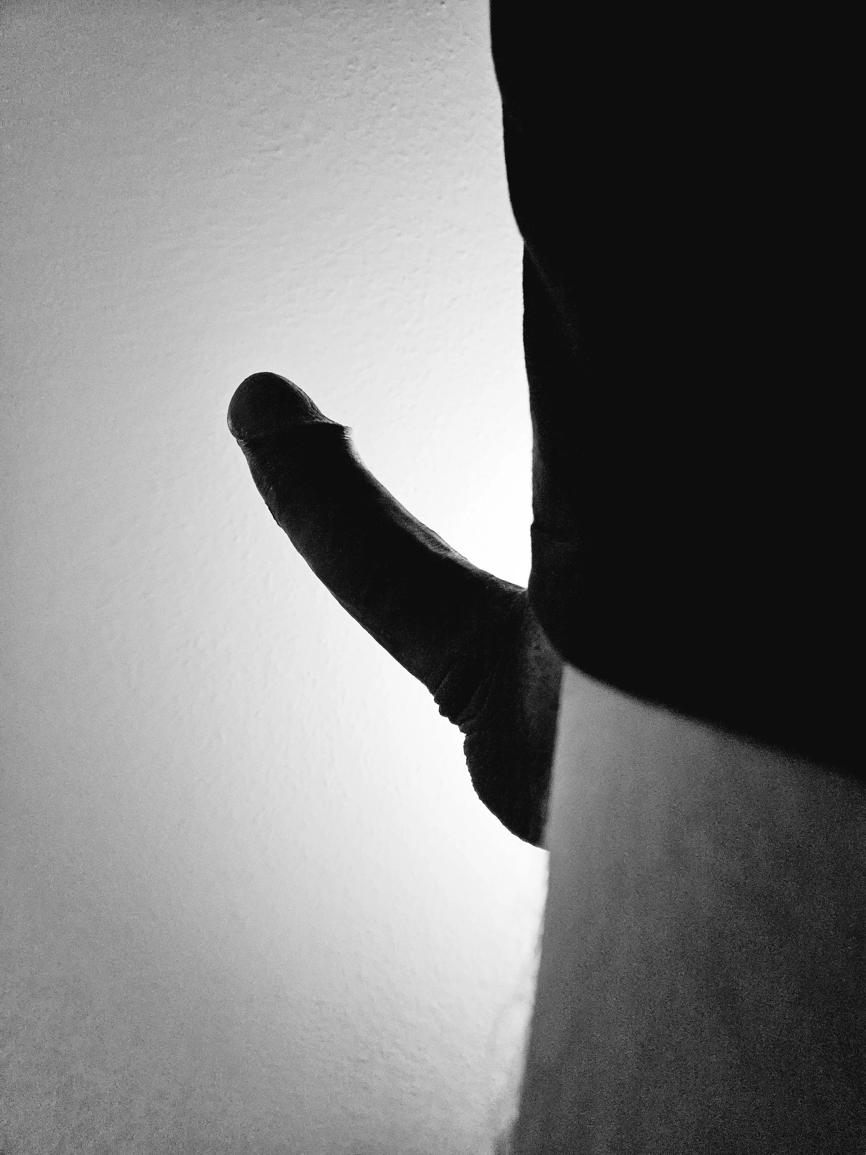 hard silhouette