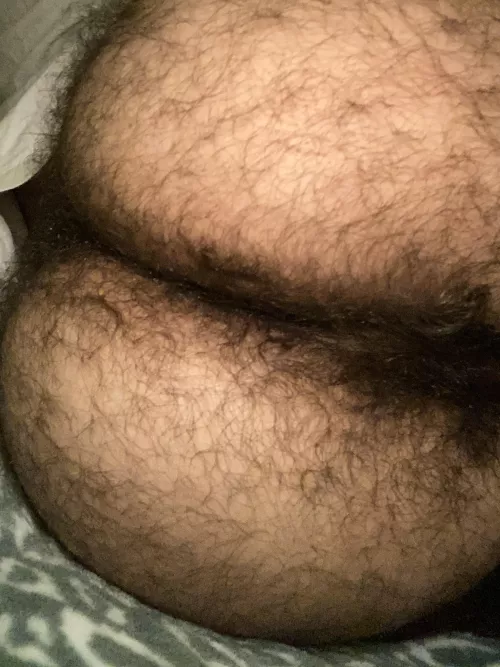 peachy fuzz all around, dm