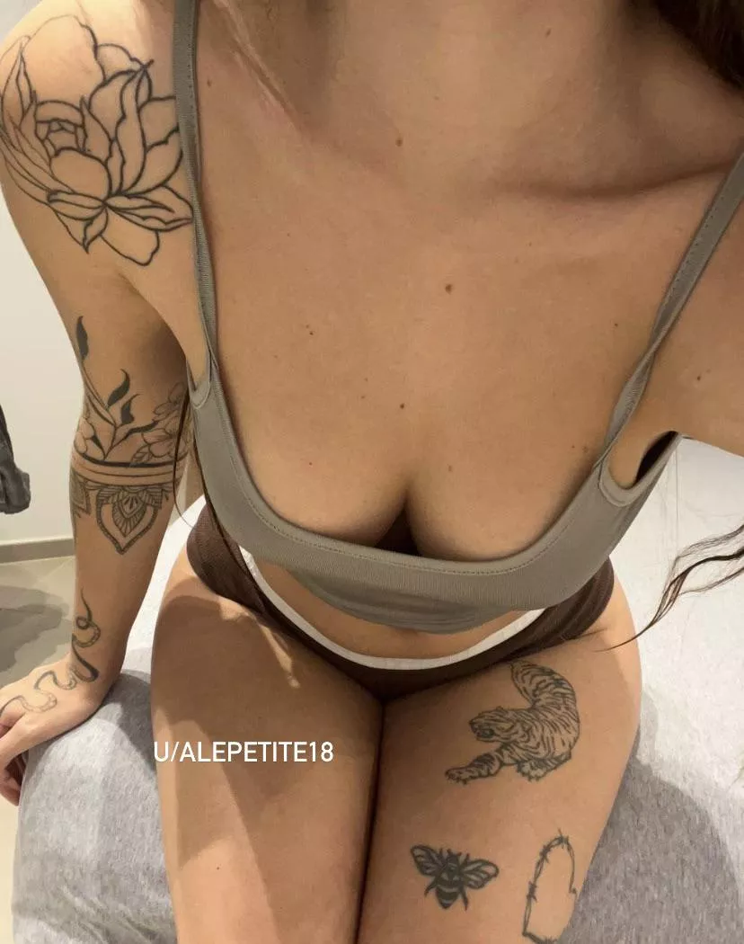 perfect small boobs
