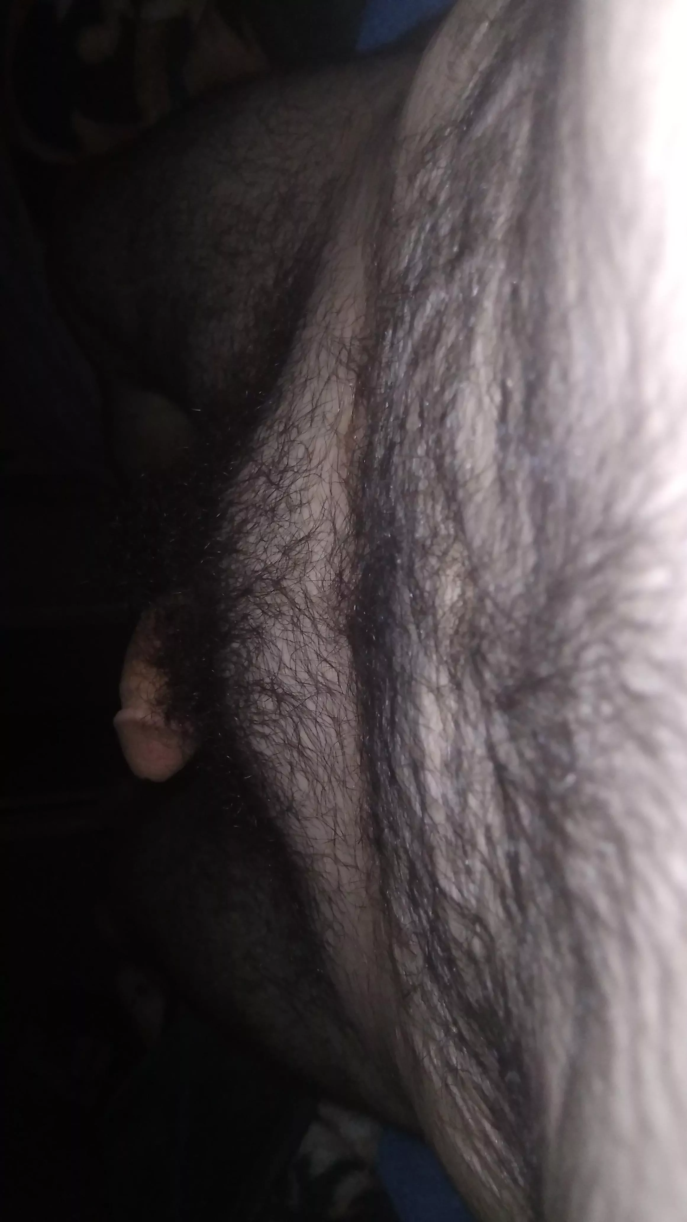 Valley of fur