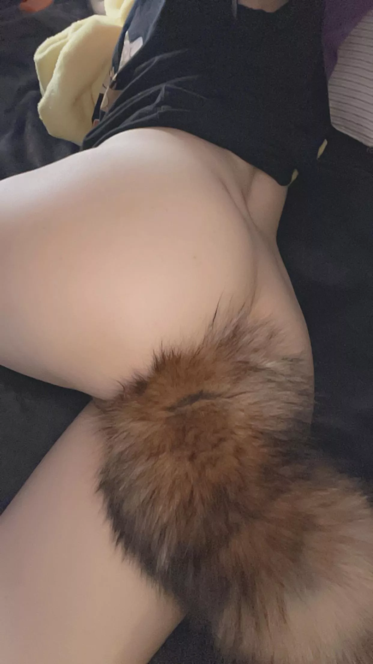 Your puppy wants your attention 🥺