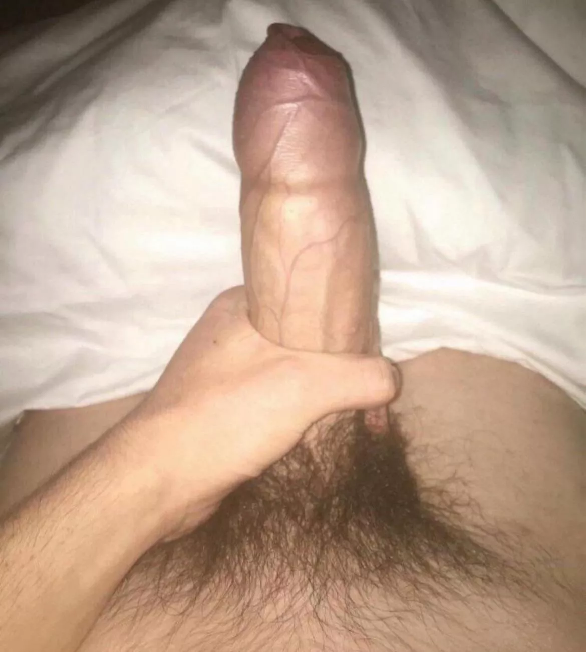 (19)Bend over or sit on it, your choice