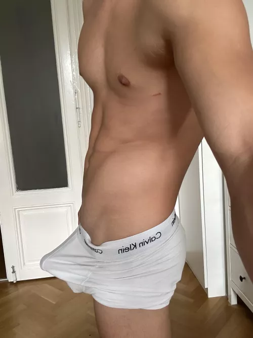 (19)Would you ride it?