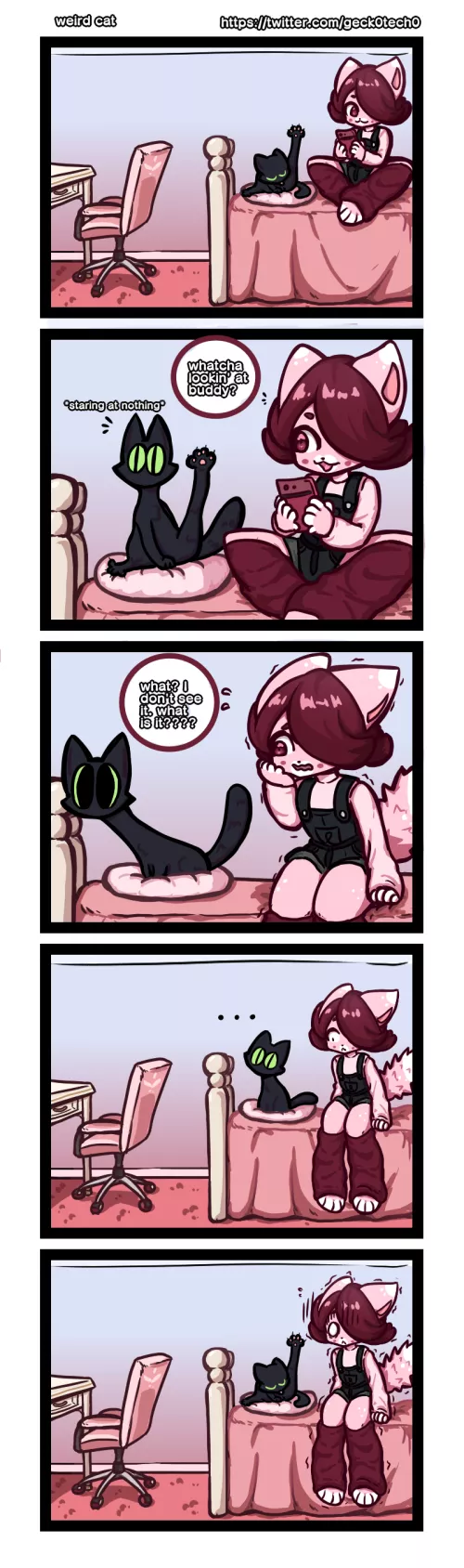 anybody else's cats do this??