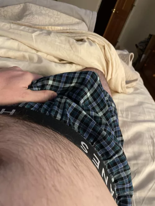 Anyone a fan of boxers?