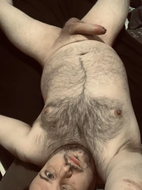 Bear with a big fat cock