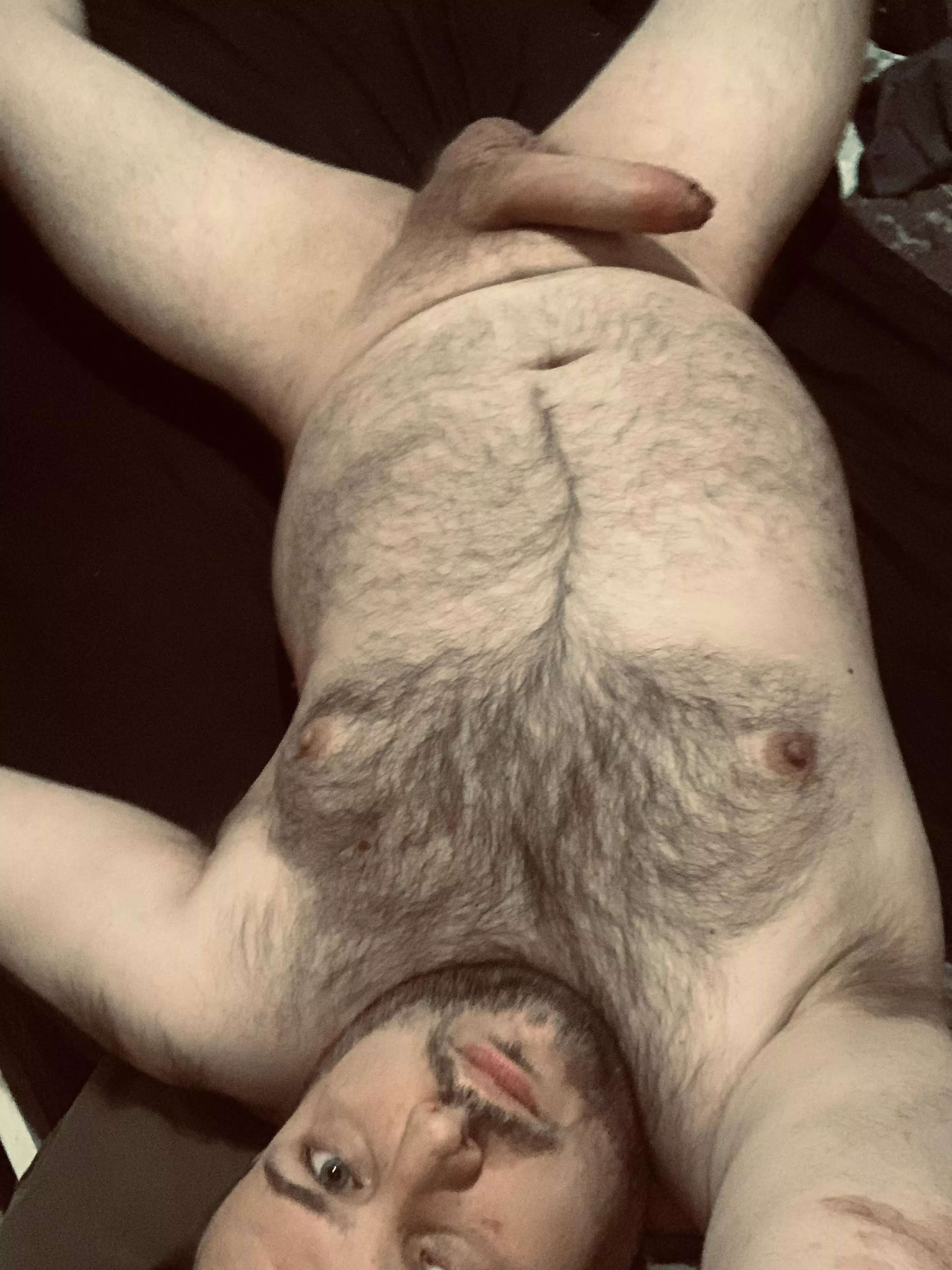Bear with a big fat cock